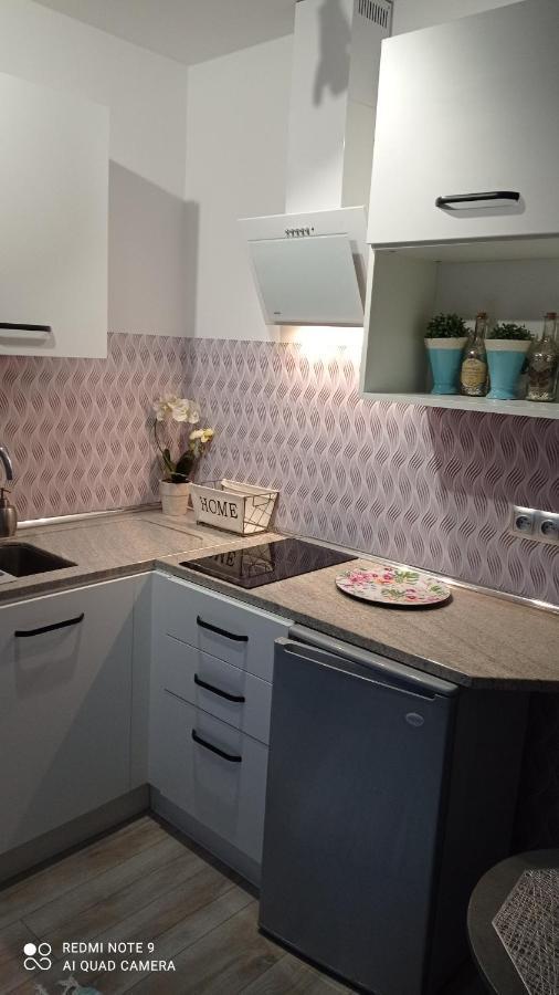 Maly Apartamencik Teo 레왈 외부 사진